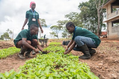 Nach einer zwölfmonatigen Ausbildung zum Landwirt sind junge Männer und Frauen im Süden Tansanias in der Lage, eine eigene Farm aufzubauen und zu bewirtschaften. wortundtat finanziert die komplette Ausbildungseinrichtung.