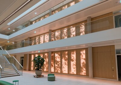 Art installation in the new campus building. Photo credit: DEICHMANN SE, Rüdiger Fessel