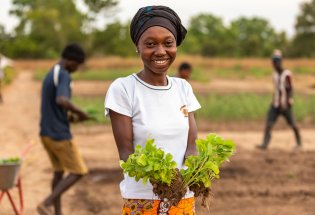 Sabab-Lou / Die Landwirtschaftsschule befähigt junge Menschen in Gambia, mit dem Anbau von Gemüse, der Aufzucht von Nutztieren und betriebswirtschaftlichem Basis-Know-how, eine sichere Lebensgrundlage für sich und ihre Familien aufzubauen. ©Sarah Kessler